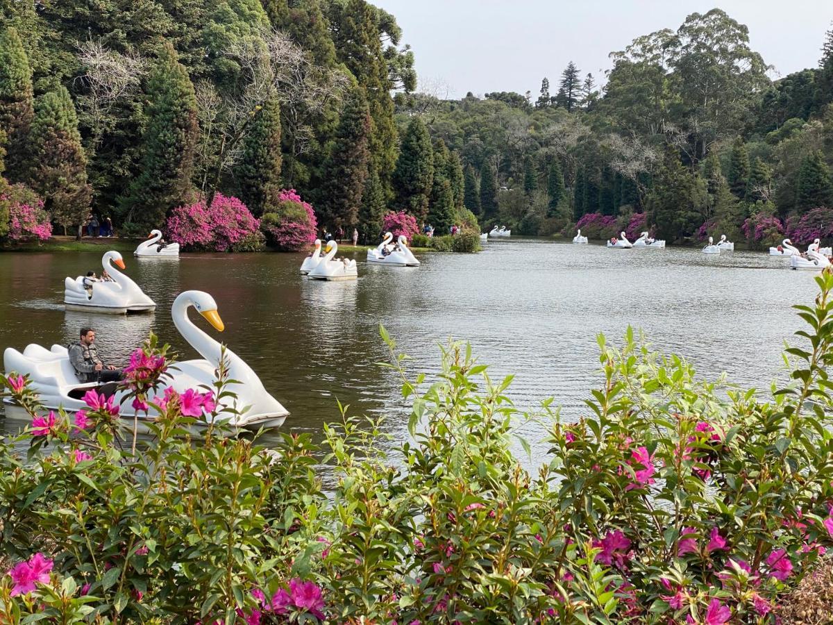 2 Suite, 1 Dormitorio Em Meio A Mata Araucaria A 1,5 Km Centro, Altos De Gramado Eksteriør bilde