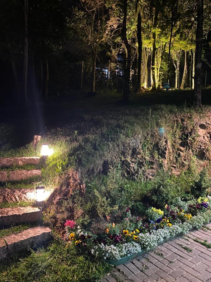 2 Suite, 1 Dormitorio Em Meio A Mata Araucaria A 1,5 Km Centro, Altos De Gramado Eksteriør bilde