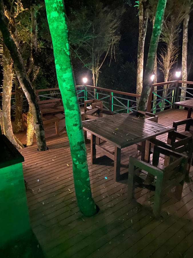 2 Suite, 1 Dormitorio Em Meio A Mata Araucaria A 1,5 Km Centro, Altos De Gramado Eksteriør bilde