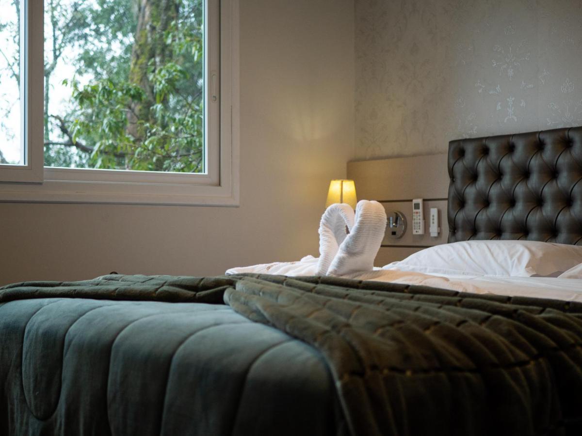 2 Suite, 1 Dormitorio Em Meio A Mata Araucaria A 1,5 Km Centro, Altos De Gramado Eksteriør bilde